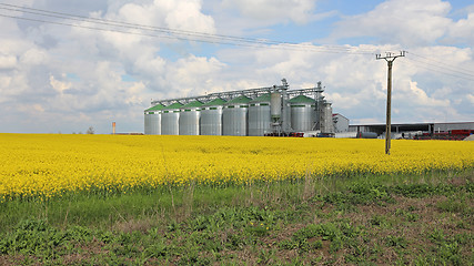 Image showing Silo Field