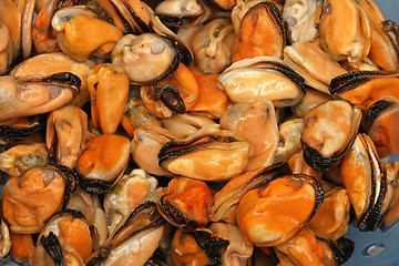 Image showing Mussels Sea Food