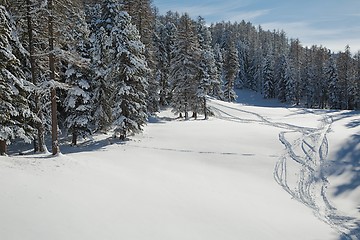 Image showing Winter Snowy Mountain Landscape