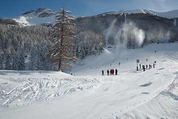 Image showing Skiing slopes from the top