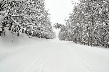 Image showing Winter Snowy Mountain Road Landscape