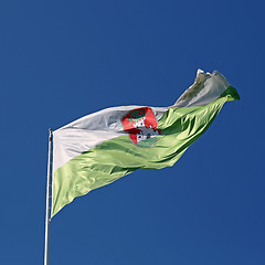 Image showing Ljubljana Flag