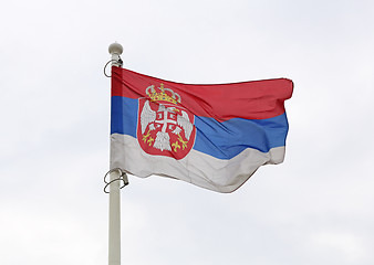 Image showing Serbian Flag Wind