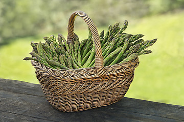 Image showing Asparagus