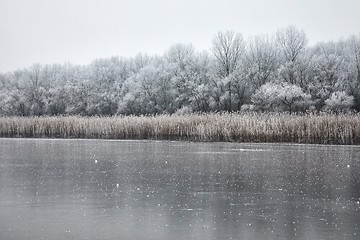 Image showing Skating on a lake