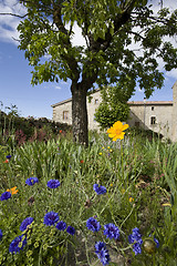 Image showing french farm house garden in spring