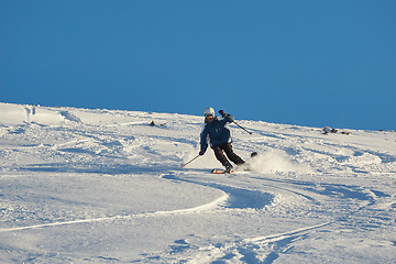 Image showing Skiing in fresh powder snow