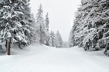 Image showing Winter Snowy Mountain Road Landscape