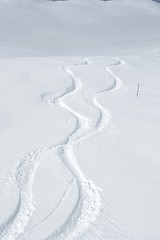 Image showing Ski Slope with Fresh Curves