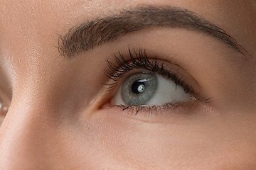 Image showing The close up eyes on face of young beautiful caucasian girl