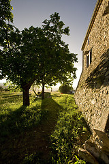 Image showing hammock in trees and old stone farmhouse france