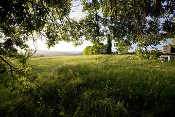 Image showing view from under a tree after a rainstorm france