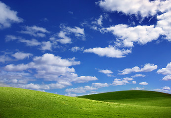 Image showing Green Field