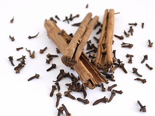 Image showing Cinnamon and Cloves