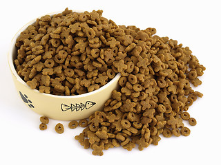 Image showing Cat Food Spill