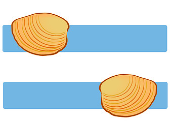 Image showing Clam Shells on Blue