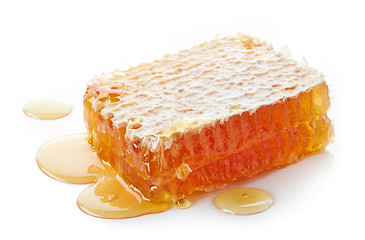 Image showing piece of honey