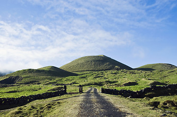 Image showing Pasture fields in Pico island, Azores