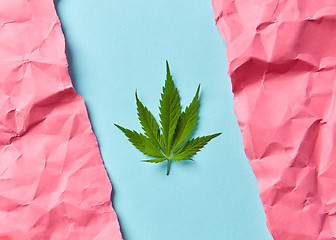 Image showing Card with green marijuana leaf.