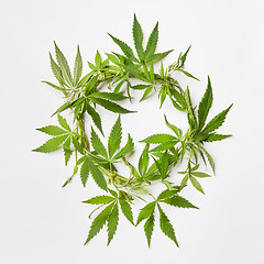 Image showing Wreath from green cannabis leaves.