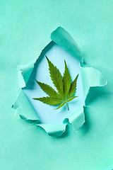 Image showing Marijuana leaf in a craft paper frame.