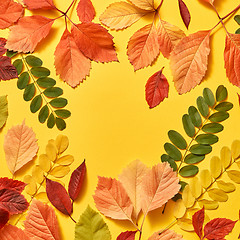 Image showing Handmade colorful autumn leaves frame.