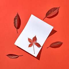 Image showing Blank paper sheet with fall red colored leaves with hard shadows.