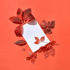 Image showing Greeting autumn card with red leaves and blank paper sheet.