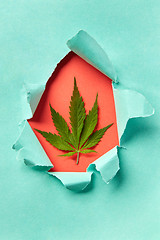 Image showing Cannabis leaf in a torn paper frame.