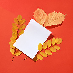 Image showing Greeting card handmade from colorful autumn leaves with hard shadows.