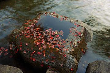 Image showing autumnal zen