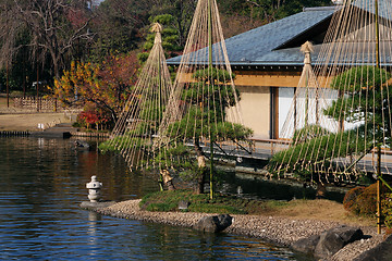 Image showing japanese garden