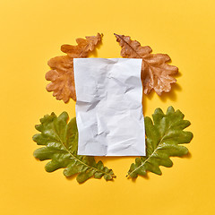 Image showing Crumbled paper sheet on a fall oak leaves dry and green.