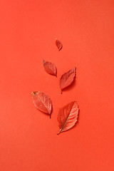 Image showing Handmade fall red leaves pattern on a coral background.