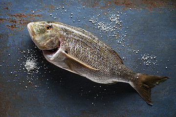 Image showing Fresh fish