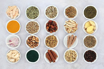 Image showing Asthma Relieving Herbs and Spice Collection