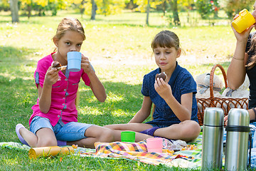Image showing Family drinks tea at a picnic, thermoses with water are standing nearby