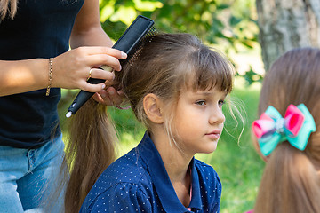 Image showing Girl on nature combs her hair with a girl