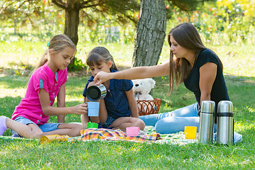 Image showing Family tea party on a lawn picnic