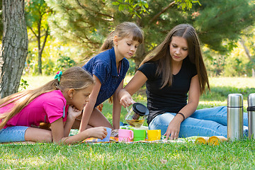 Image showing Family on a picnic, girl pours tea in glasses