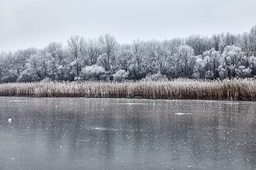 Image showing Skating on a lake