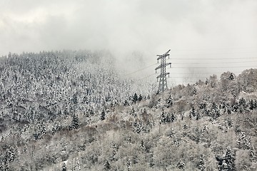 Image showing Electric power lines in snow