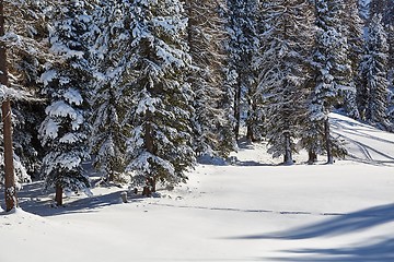 Image showing Winter Snowy Mountain Landscape