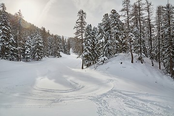 Image showing Skiing slopes from the top