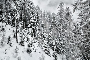 Image showing Winter Snowy Landscape, Mountains and Trees