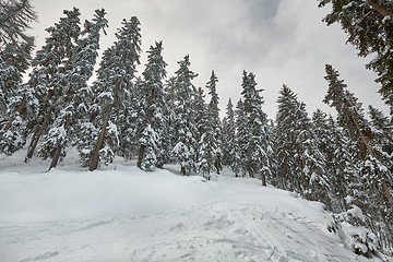 Image showing Winter Snowy Landscape, Mountains and Trees