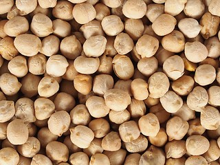 Image showing Chick pea beans