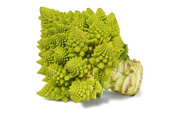 Image showing Romanesco broccoli on white