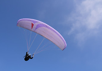 Image showing Purple paraglider