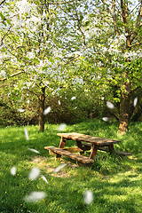 Image showing Spring picnic table